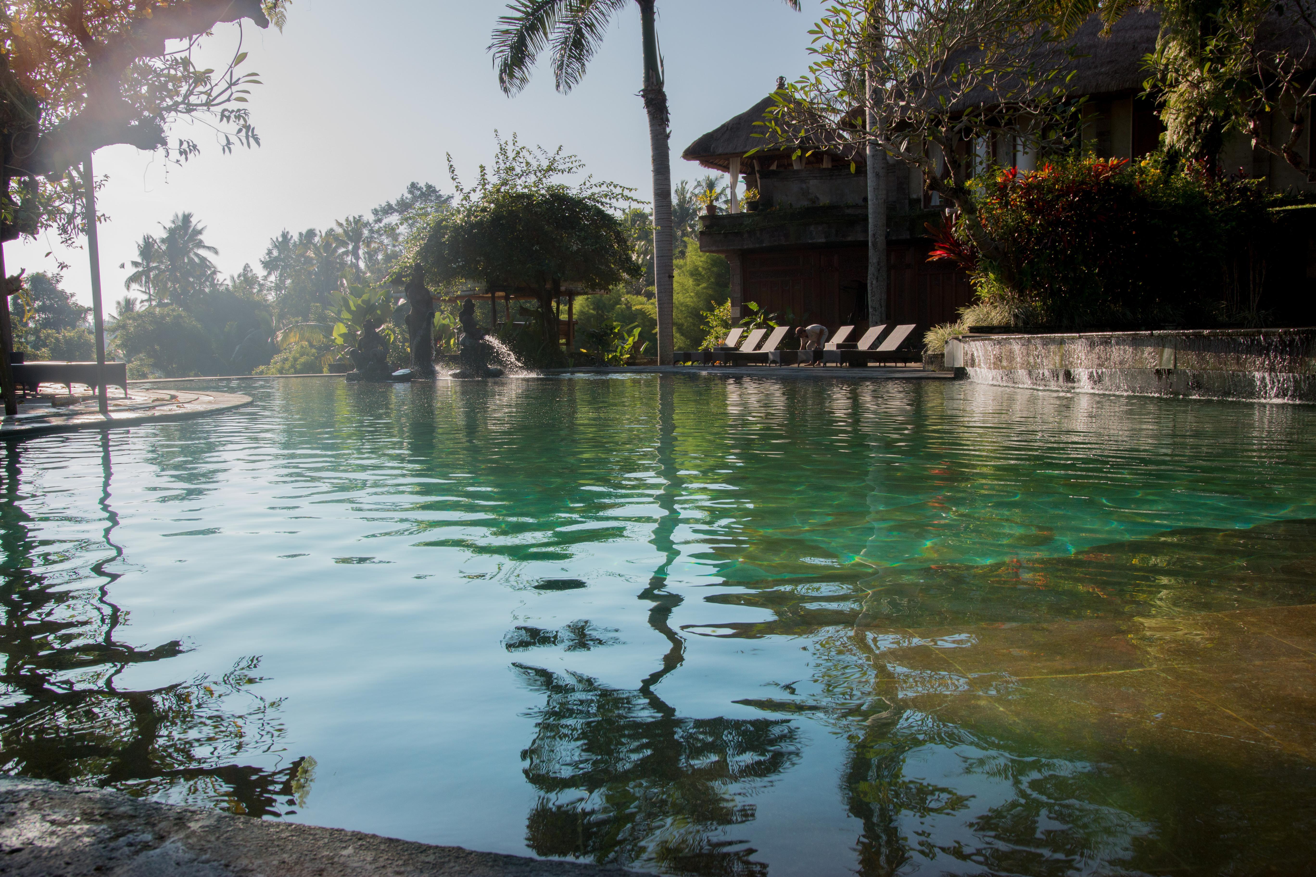 The Payogan Villa Resort And Spa Ubud Eksteriør billede