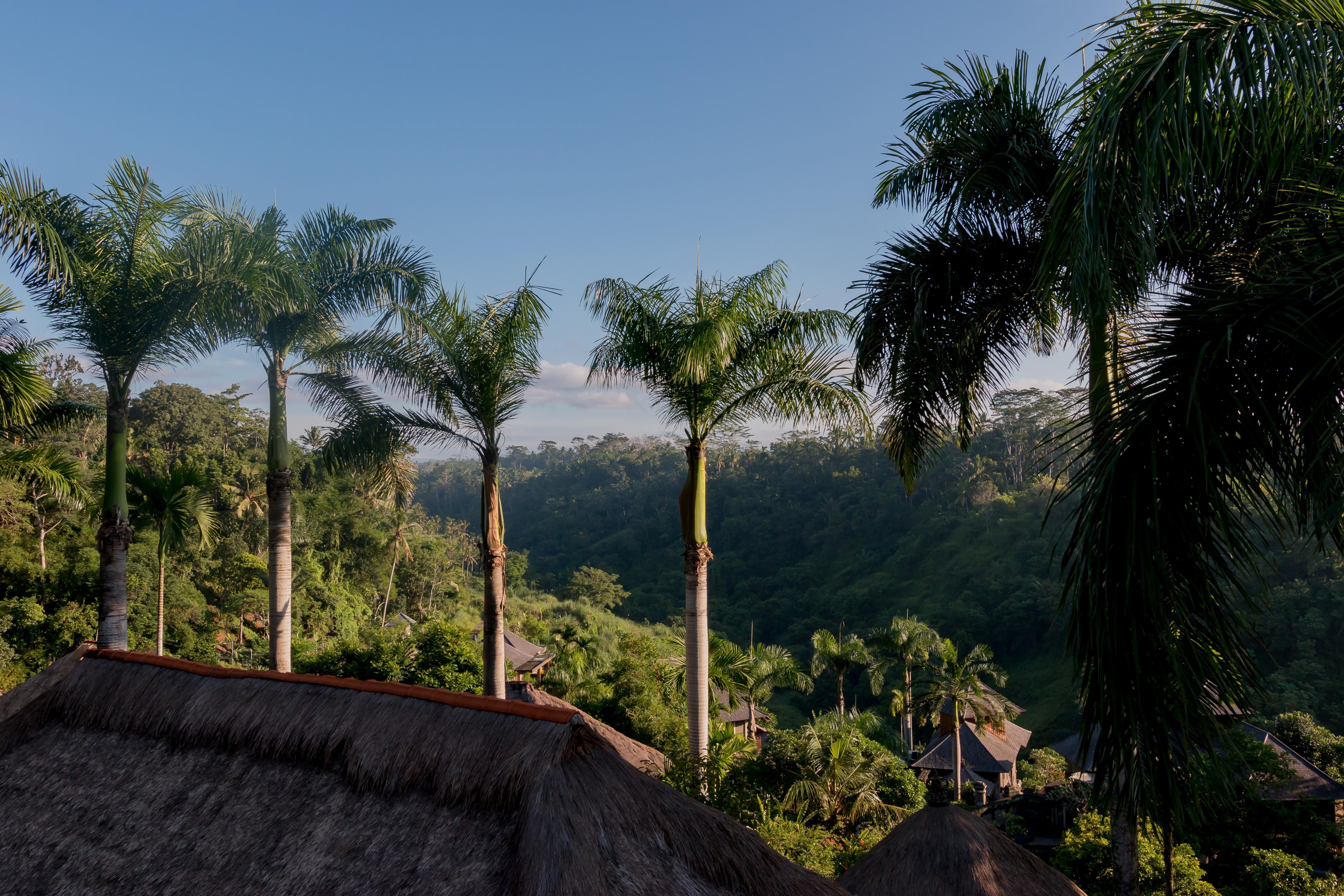 The Payogan Villa Resort And Spa Ubud Eksteriør billede